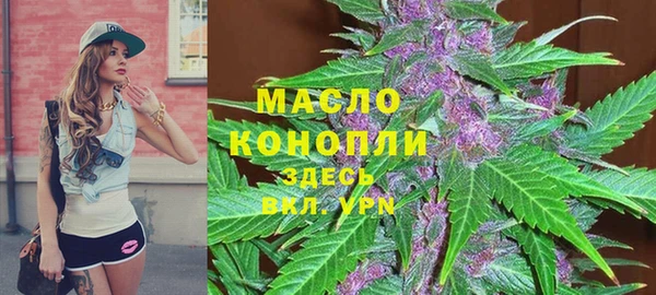 дмт Богородицк