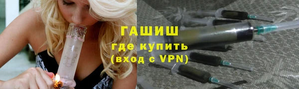 гидра Бородино