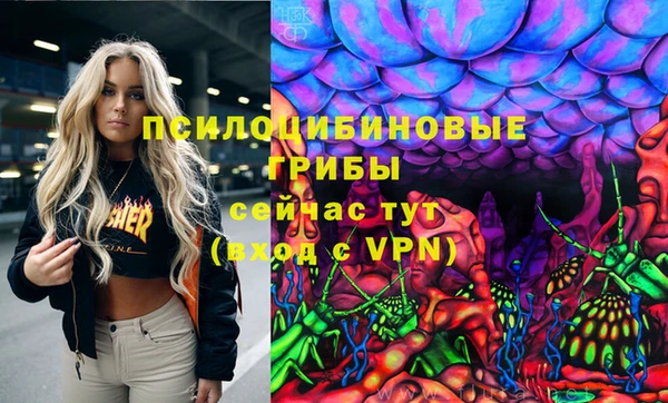 гидра Бородино