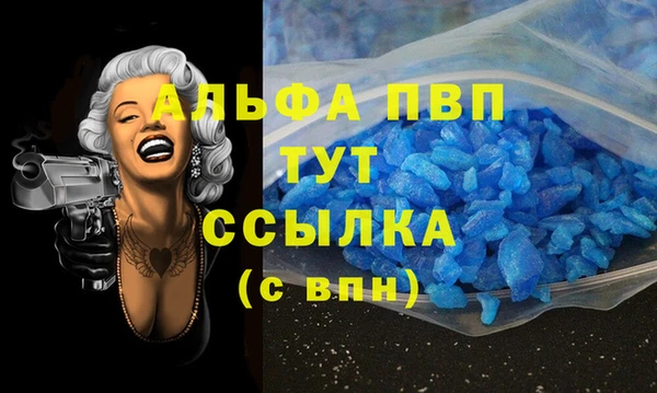 гашик Краснослободск