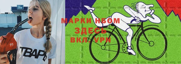 гидра Бородино