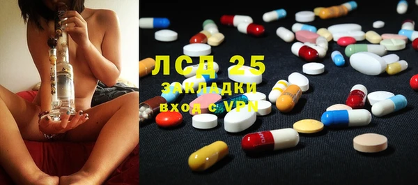 твердый Богданович