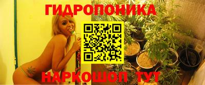 apvp Будённовск