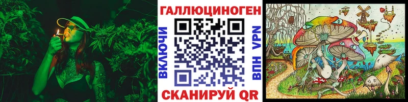 нарко площадка наркотические препараты  Городец  Псилоцибиновые грибы ЛСД 