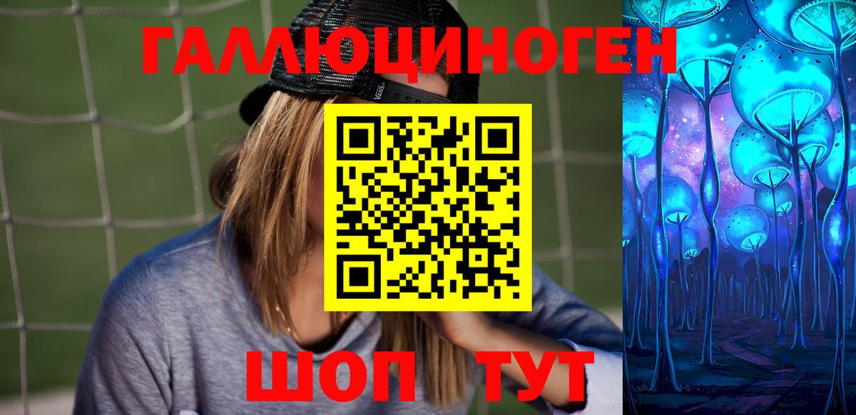 Псилоцибиновые грибы Psilocybine cubensis Городец