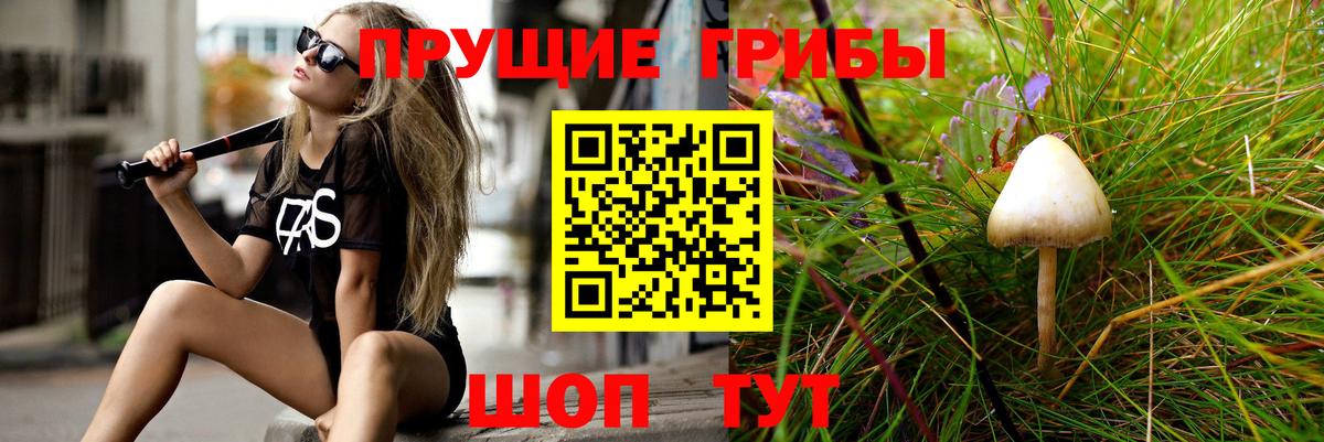 Галлюциногенные грибы Cubensis Городец