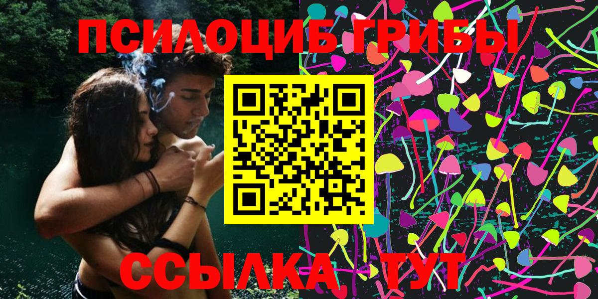 Псилоцибиновые грибы Magic Shrooms  Городец 